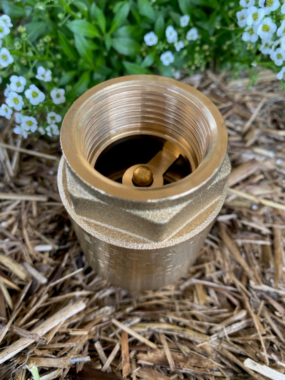 80mm Brass Spring Check Valve