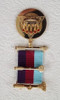  Royal Arch Past Z  Breast Jewel  Tri-Coloured Ribbon