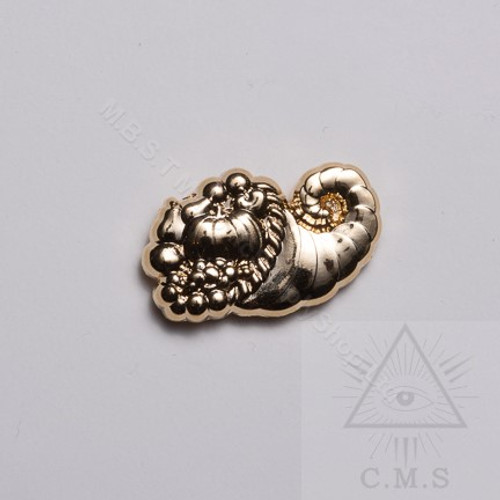 Masonic Lodge Stewards  Lapel Pin