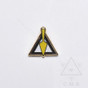 Royal & select Masters  Cryptic Masons   Lapel Pin