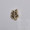 Masonic Acacia Lapel Pin