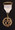 Allied Masonic Member  jewel
