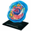 Damaged Packaging 4D Science Animal Cell Model