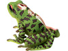 Damaged Packaging- 4D Vision Frog