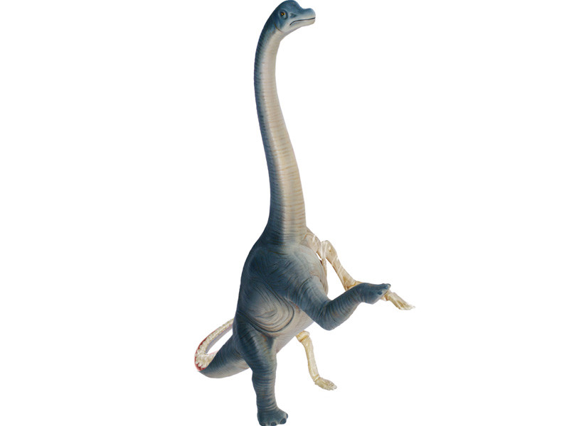 4D Vision Brachiosaurus Vision Model