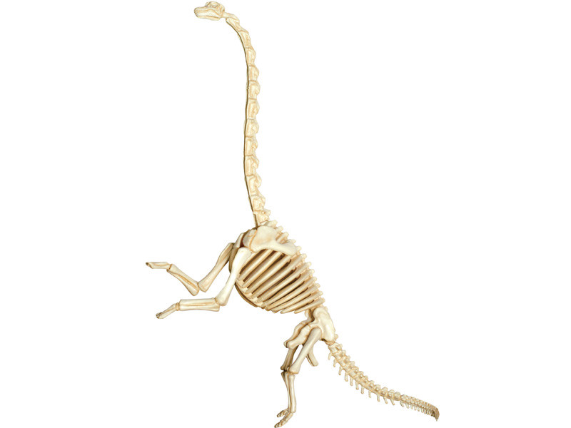 4D Vision Brachiosaurus Vision Model