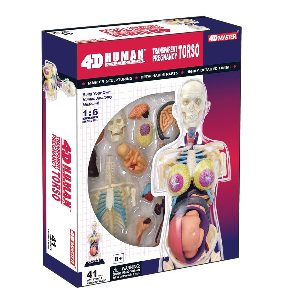 4D Human Anatomy Transparent Pregancy-Damaged Package