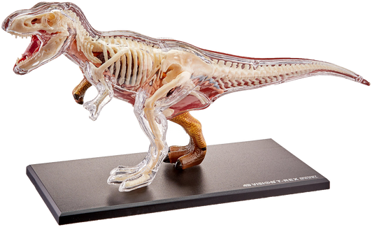 4D Vison T-Rex Vision Model Damaged Package 4D Vison T-Rex Vision Model Damaged Package