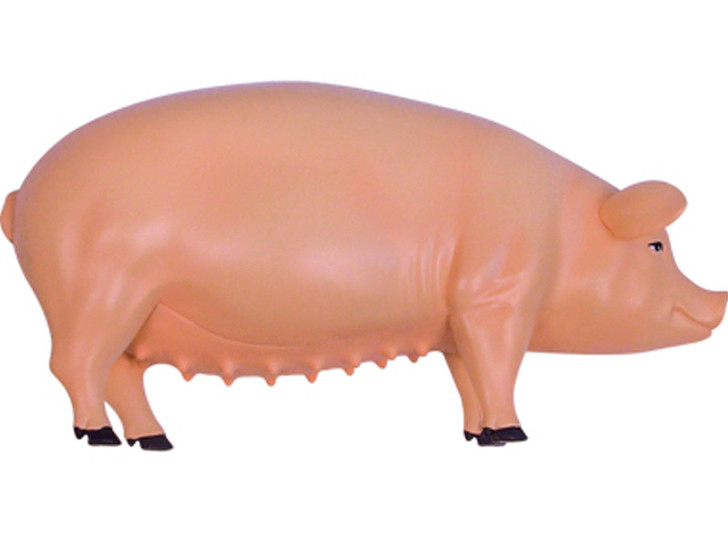 4D Vision Pig Damaged Packaging
