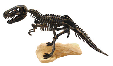 TEDCO's Discover T-Rex Dig Kit