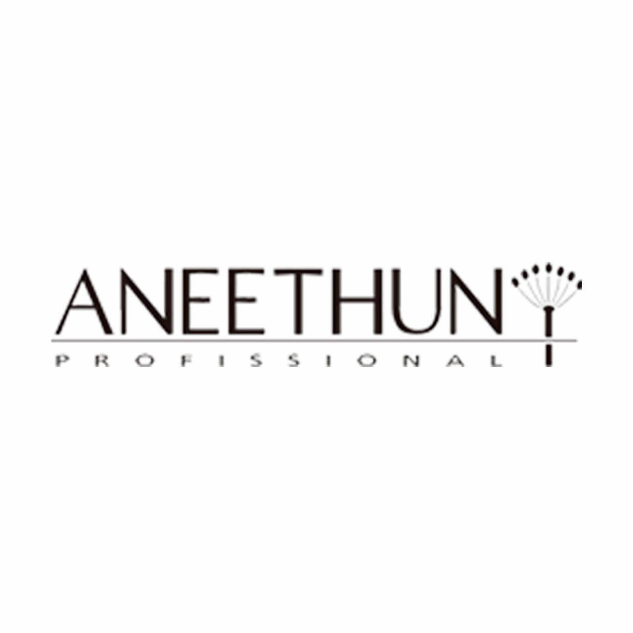 Aneethun 