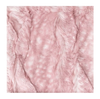 Fawn Rosewater