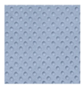 Minky Dot Light Blue