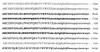 Yarmulka w/ Vinyl - Initial in Horizontal Inverted Circle