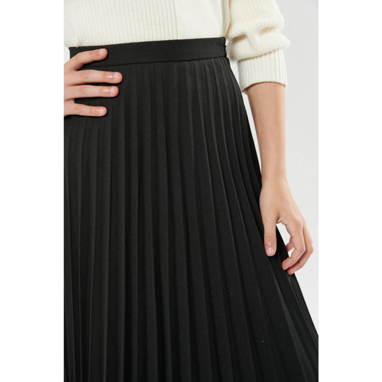 The Pleated Skirt Black – Everlane