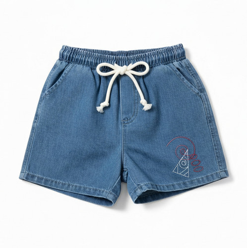 Embroidered Denim Shorts