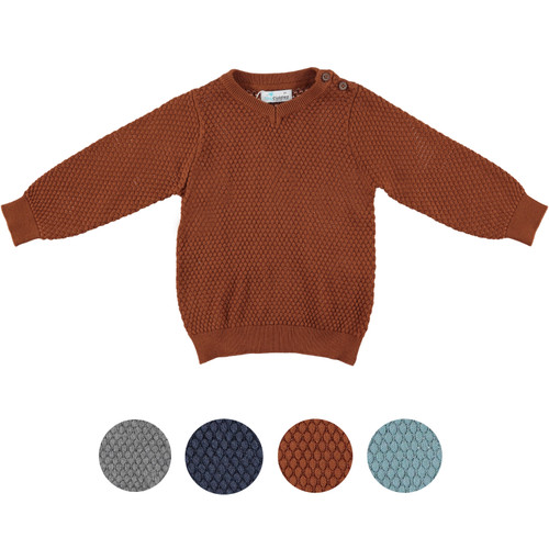 Baby Boys V Sweater