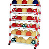 6 Shelf Ball Wall Storage System 