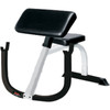 Preacher Curl Bench