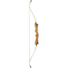 High School Recurve Take-Down Bow - Left Hand - 54" - 24 lb (AR1-LH-24)