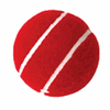 Recreational Cricket Ball