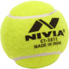 Recreational Cricket Ball