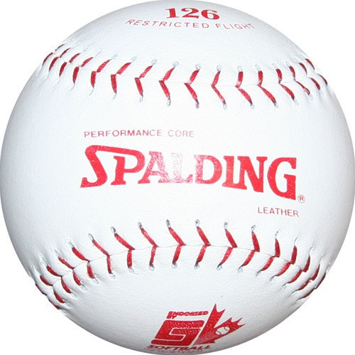 Softball DUDLEY Spalding neuf dans sa boîte sb12lnd point blanc 12