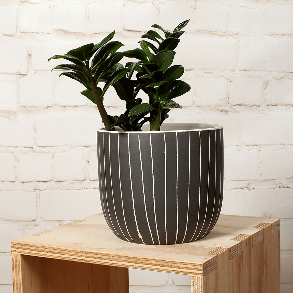 STRIPED POT XL - DHP0134