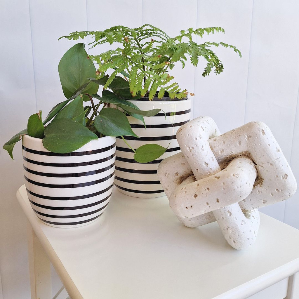 White Striped Pot Large - S210310