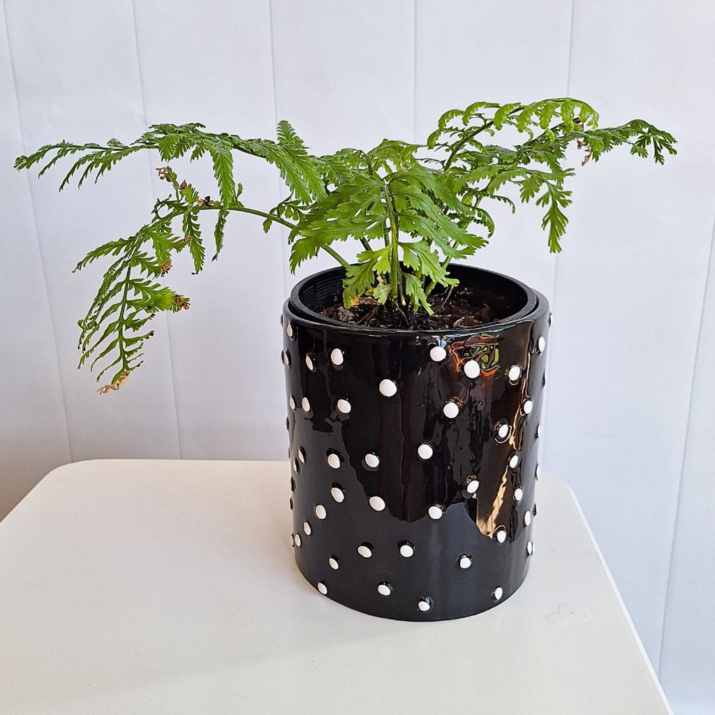 Black Spot Pot - S210313-4