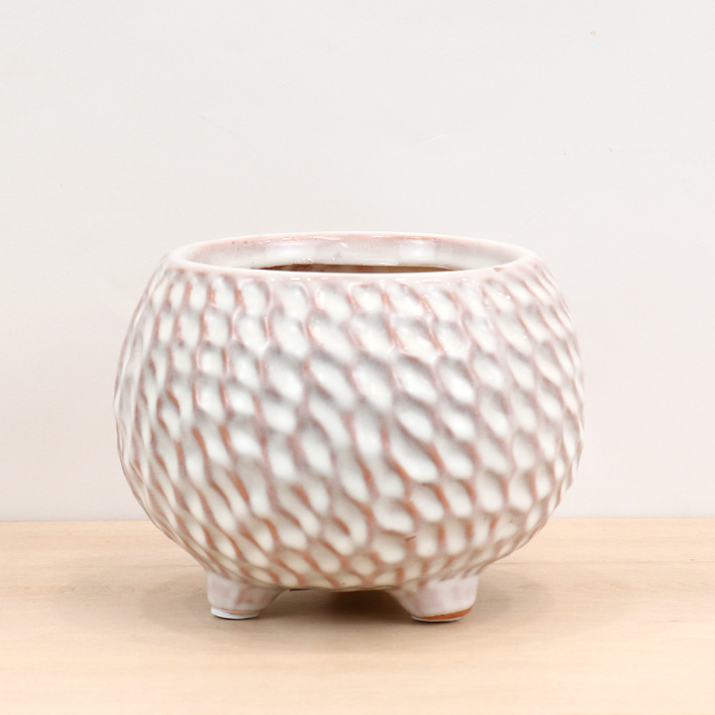 Woven Pot Medium - S210327