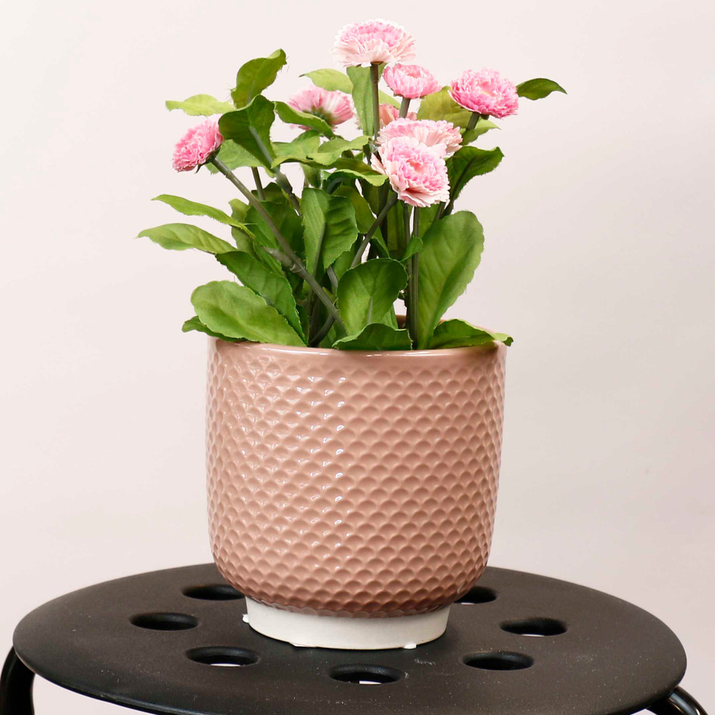 Shell Pot Medium Blush - DHP0106-1