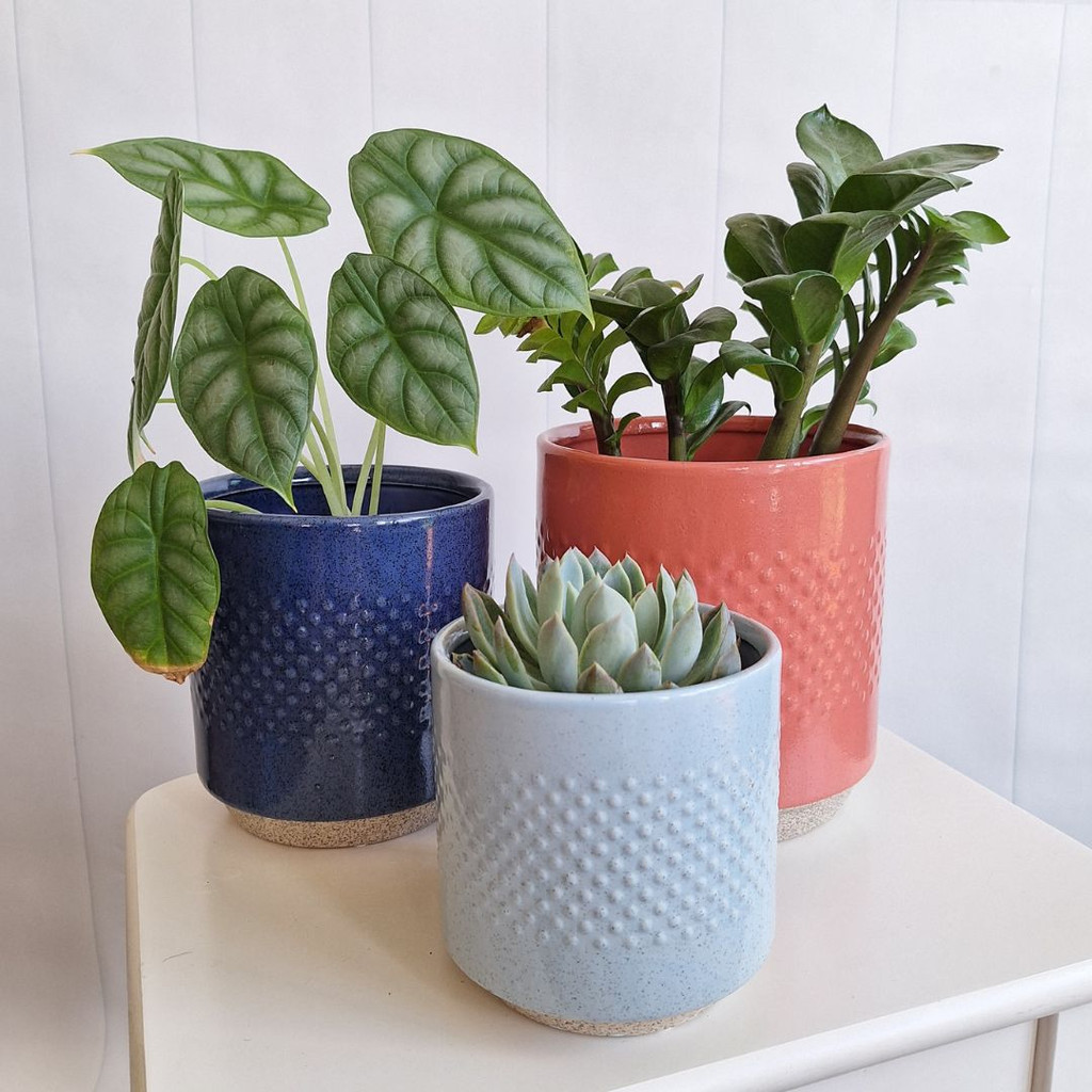 Coral Spot Pot Set of 3 - SS1001-3