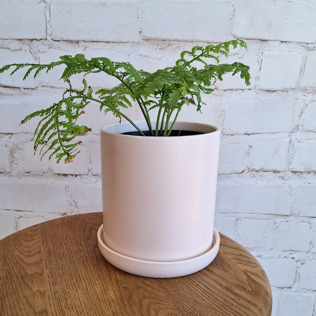 LARGE BABY PINK CYLINDER POT - SY066