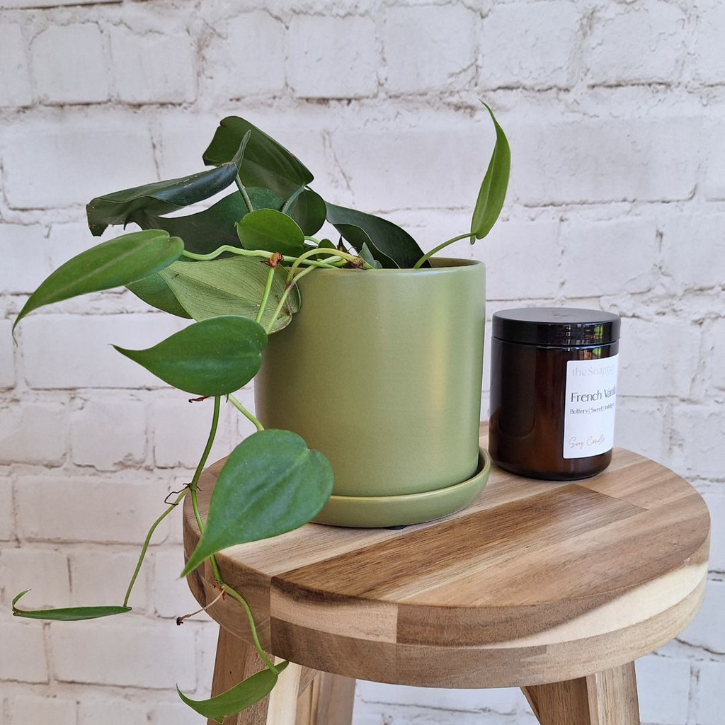 SMALL OLIVE CYLINDER  POT - SY071