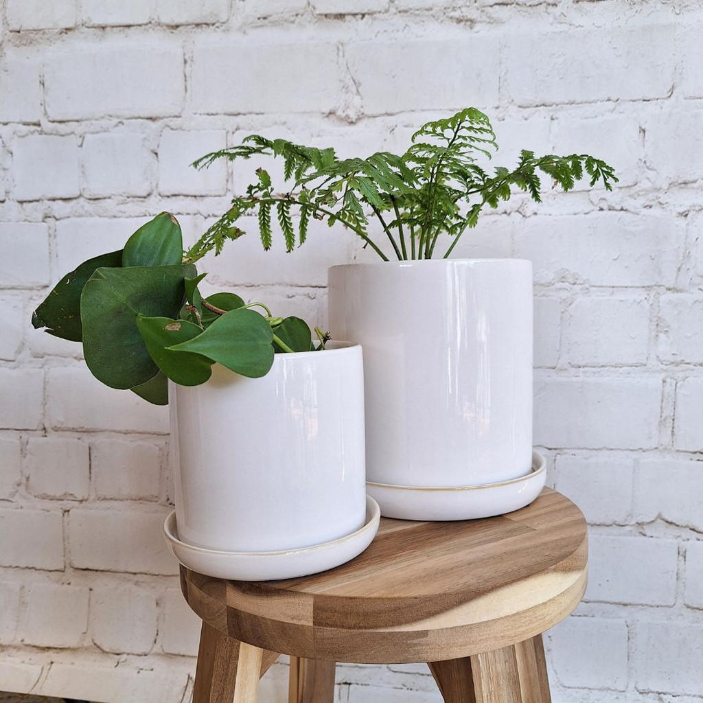 SMALL WHITE CYLINDER POT - SY085