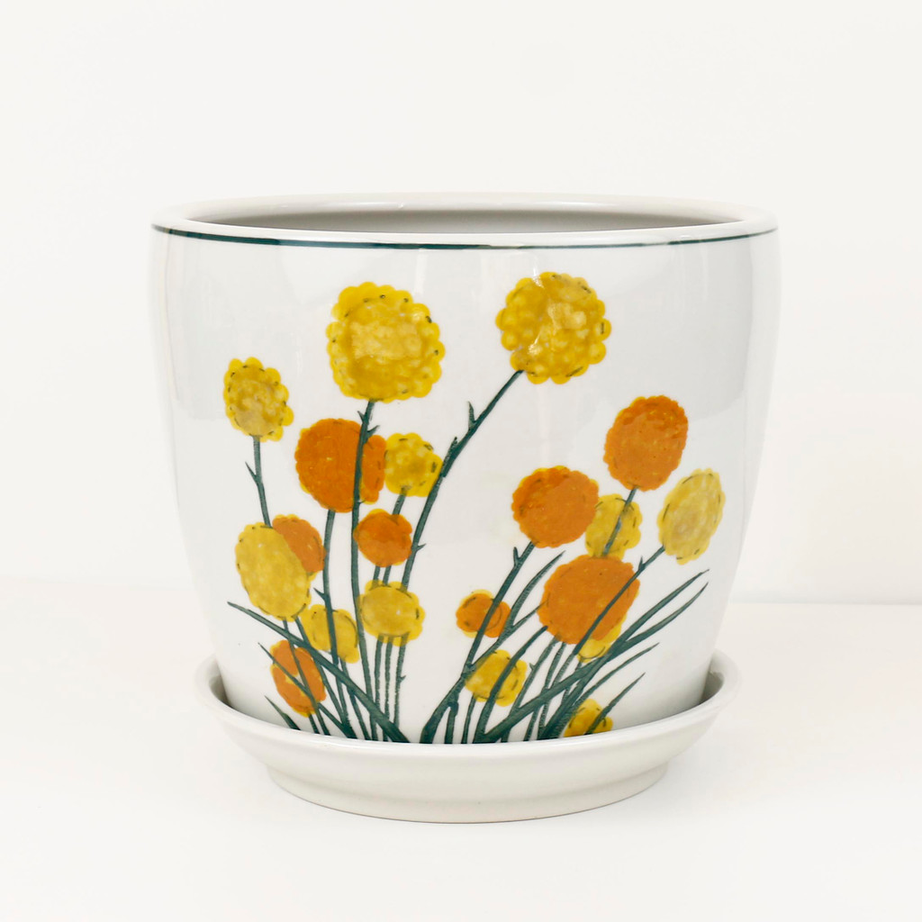 HAND PAINTED BILLY BUTTONS - SET OF 4 PLANTERS - PE0096