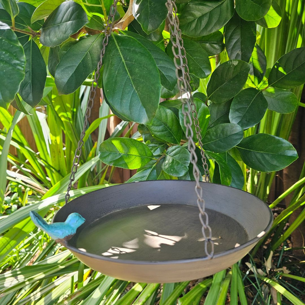 Blue Bird Feeder - YH2654