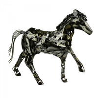 Black Colt - BHB16755