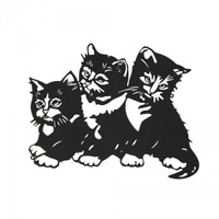 Kittens - BHB171340