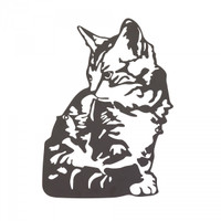 Cat - BHB17941