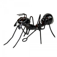 Black Ant - YC1003