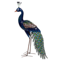PEACOCK (GLOSSY) - QX18212B