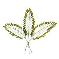 THREE LEAVES WALL ART - YH18919