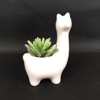 ALICE ALPACA CACTUS POT - SS1017