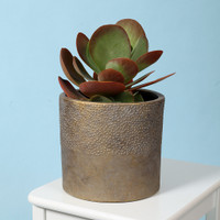 GOLD CYLINDER POT 20CM - LARGE - DHP0124