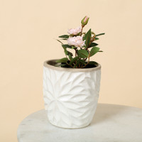 SNOW WHITE PETAL POT MEDIUM - SY008