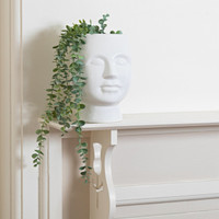 HEAD POT - SS1033