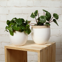 ROUND WHITE ANTIQUE POT - MEDIUM - SY026