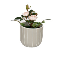 STRIPED POT M - DHP0132